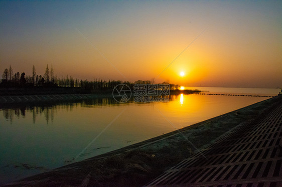 上海崇明西滩湿地公园