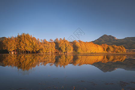 云南秋天树林双湖之镜背景