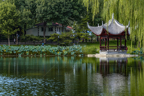 北京陶然亭.浸月亭图片