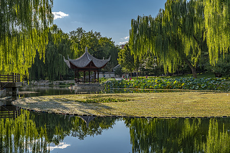 北京的秋北京陶然亭浸月亭背景