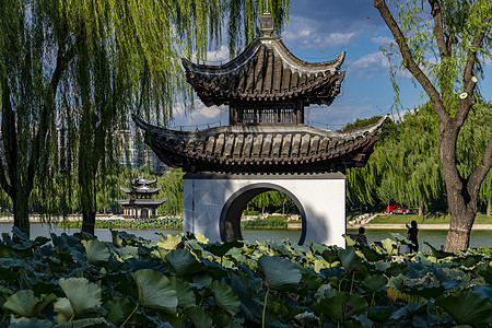 白敬亭北京陶然亭.吹白亭背景