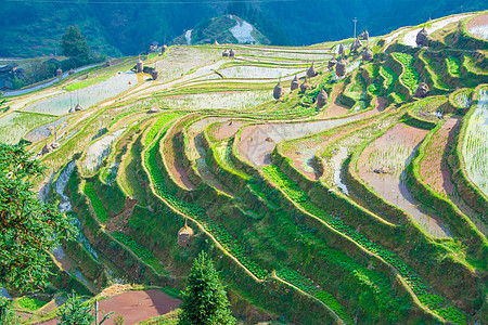 侗族鼓楼贵州黔东南苗族侗族自治州月亮山梯田背景