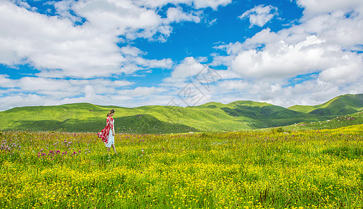 鲜花和草地漫步在花丛的美女背景