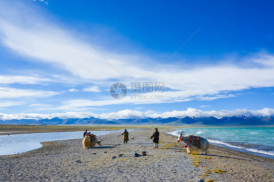 西藏羊湖风光图片