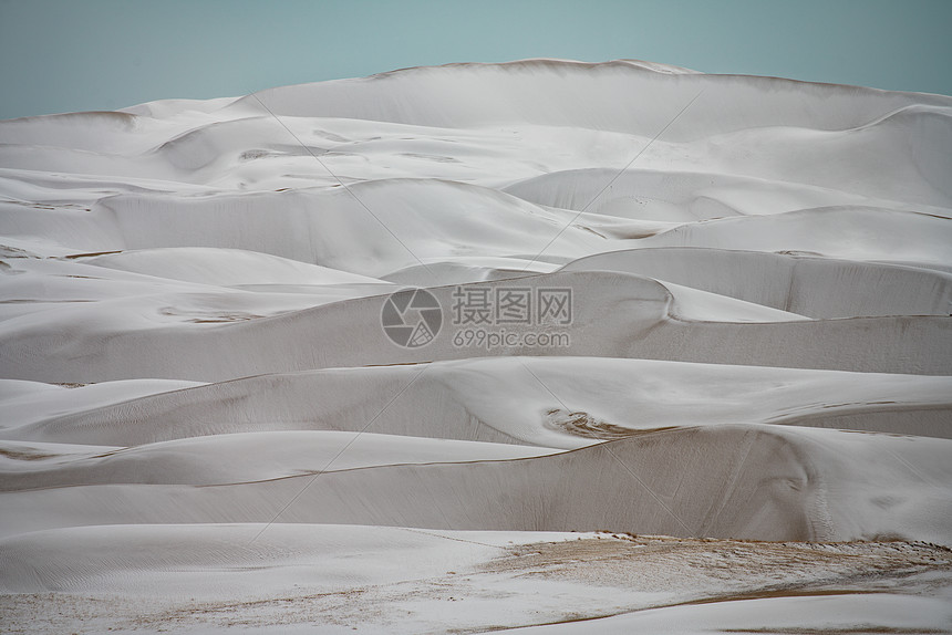 青海湖沙岛图片