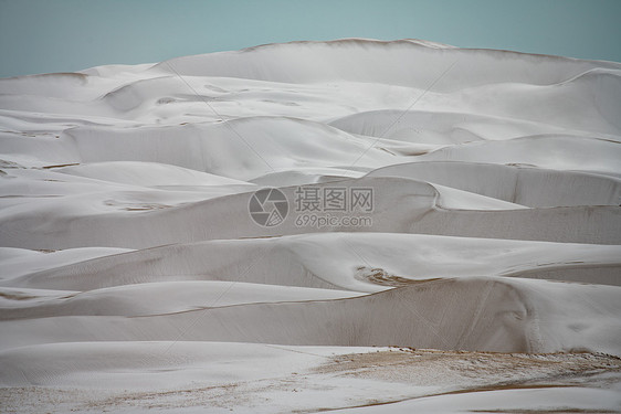 青海湖沙岛图片