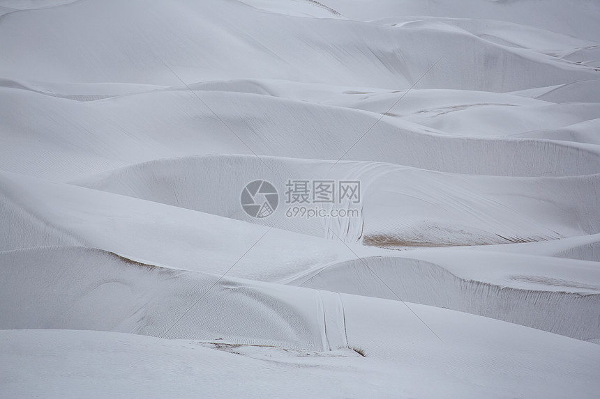 青海湖沙岛图片