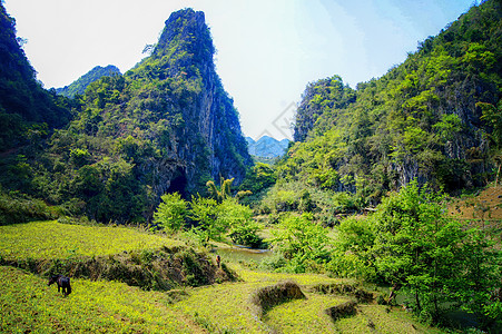 云南文山三七广南坝美文山普者黑背景