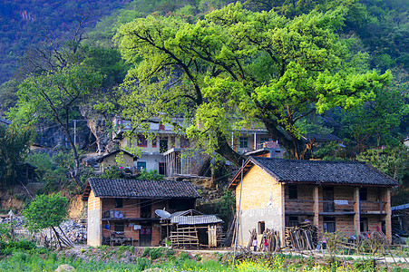 云南文山三七广南坝美文山普者黑背景