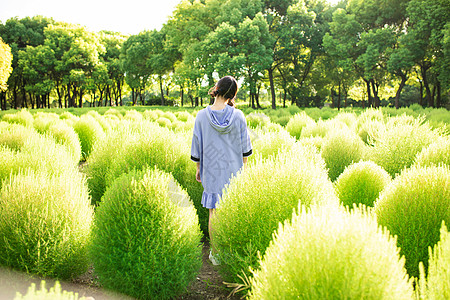 阳光和女生甜美清新女生背影背景