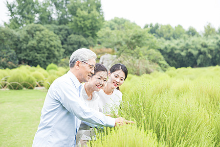 健康男性幸福一家人欣赏绿植背景