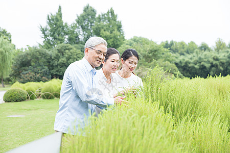 幸福一家人欣赏绿植高清图片