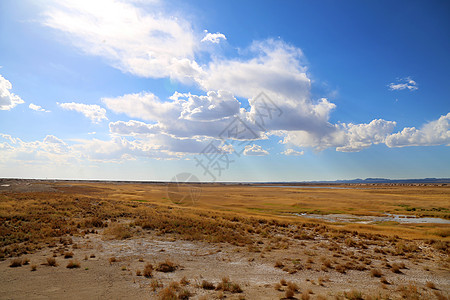 嘉峪关戈壁大漠背景