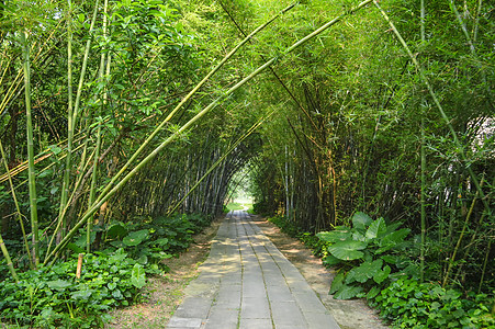 开平碉楼风景区高清图片