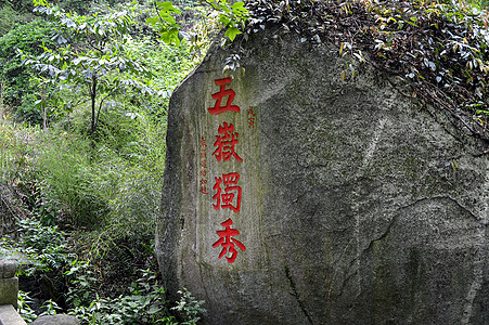 黄山风景区南岳衡山背景