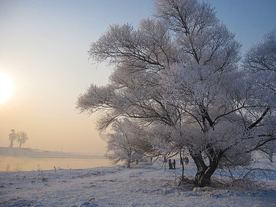 雾凇岛风景东北吉林市高清图片