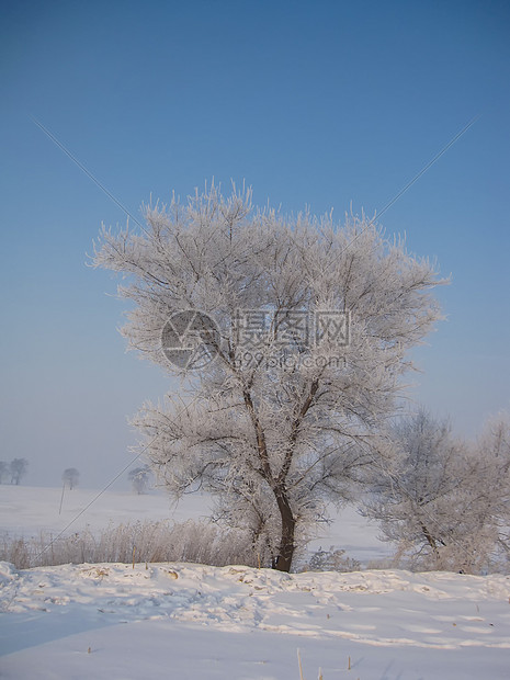 雾凇岛风景图片