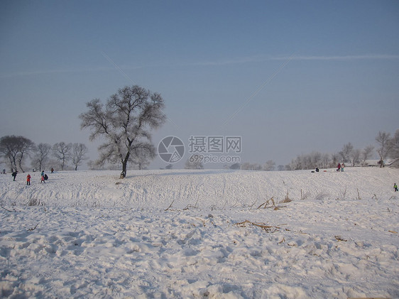 雾凇岛风景图片