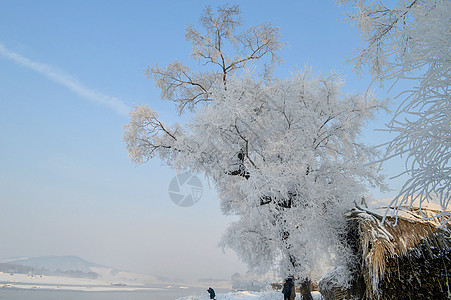 吉林市风光雾凇岛风景背景