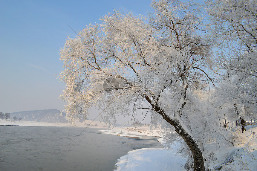 雾凇岛风景图片