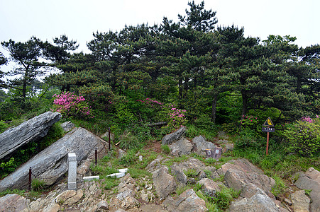 庐山日出三山五岳之庐山背景