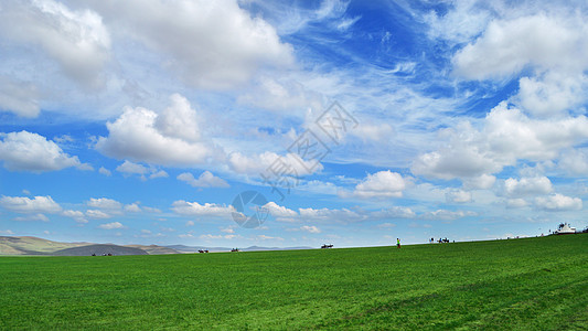 红原大草原内蒙古呼伦贝尔大草原背景