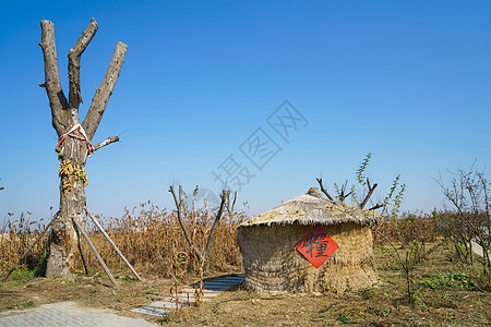 山东高密红高粱影视基地图片