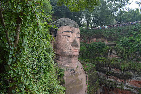 乐山大佛景区风景照背景图片