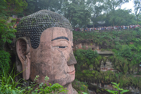 乐山大佛景区风景照背景图片