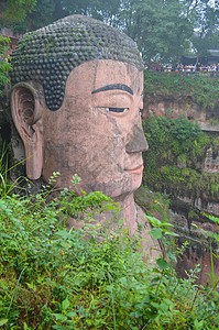 乐山大佛景区风景照图片