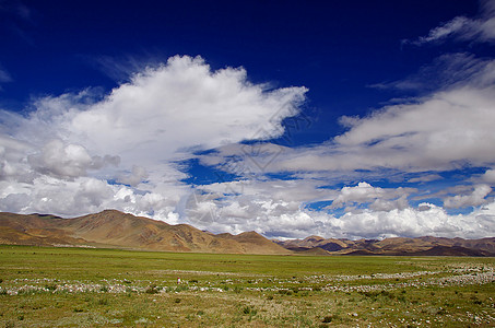 西藏高原风光背景图片