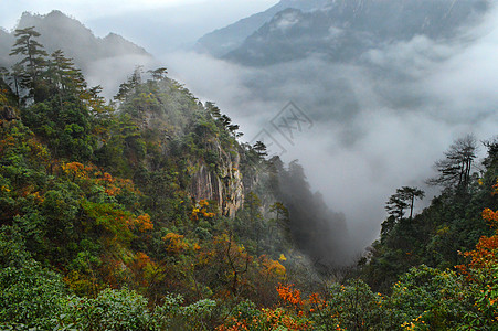 临安青山湖临安大明山风景区背景