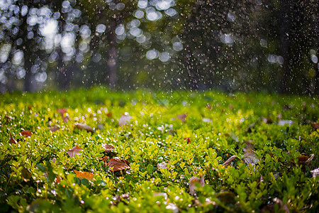 秋雨水花飞溅秋雨高清图片