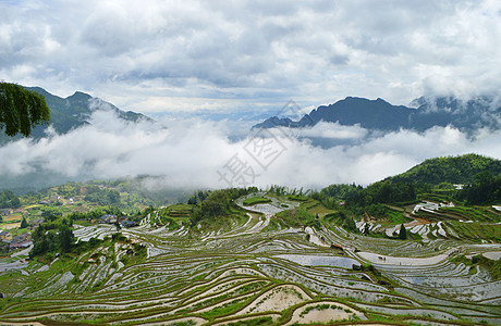 浙江丽水云和梯田风景丽水云和梯田背景