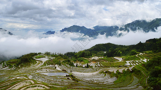 丽水云和梯田背景