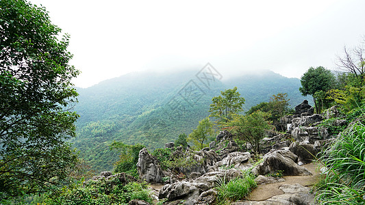 衢州三衢石林图片