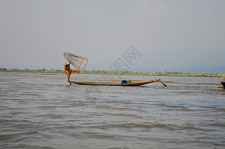 缅甸茵莱湖传统扑鱼图片