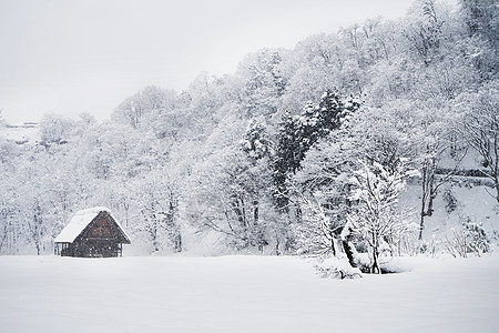 圣诞节雪花日本白川乡雪景背景