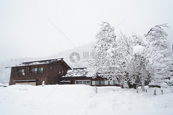 日本白川乡雪景图片