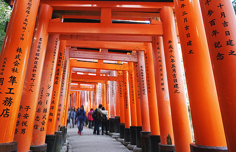 日本神社鸟居日本京都伏见稻荷大社背景