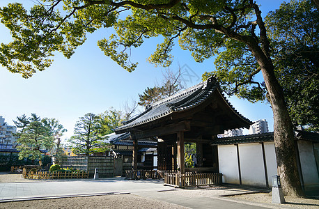 日本神社建筑日本名古屋传统寺庙背景
