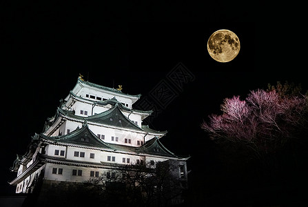 日本名古屋天守阁夜景背景