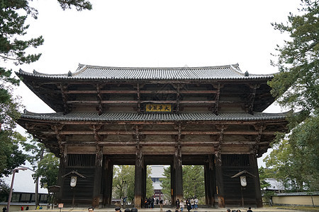 日本奈良平城宫药师寺图片