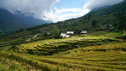 越南沙坝田园风光图片