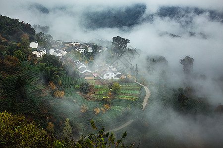 绿色大森林大美安徽云中村落背景