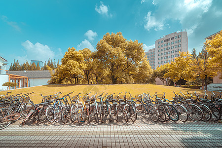 雨季施工上海同济大学校园一隅背景