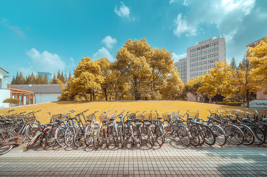 上海同济大学校园一隅图片