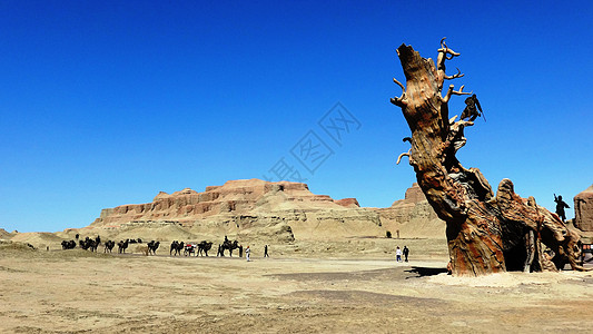 新疆雅丹地貌大美新疆乌禾尔魔鬼城背景