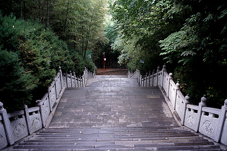 终南山楼观台国家森林公园背景