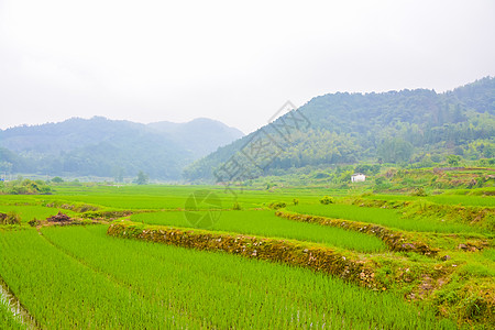 江西瑶里古镇风光背景图片